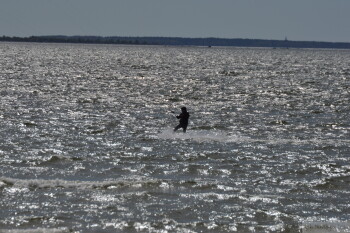 Thumbnail DSC_6844.JPG 
