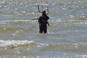 Thumbnail DSC_6908.JPG 