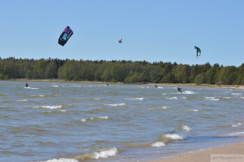 Thumbnail DSC_6924.JPG 
