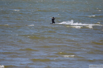 Thumbnail DSC_6930.JPG 