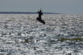 Thumbnail DSC_6943.JPG 