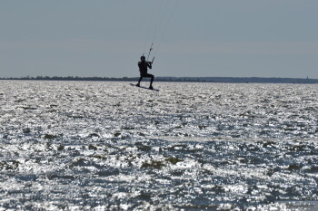 Thumbnail DSC_6956.JPG 