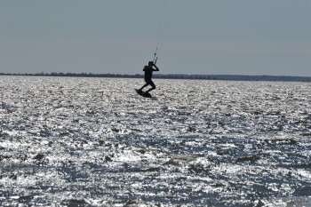 Thumbnail DSC_6957.JPG 