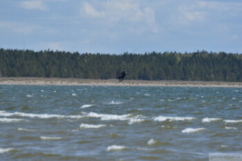 Thumbnail DSC_6963.JPG 