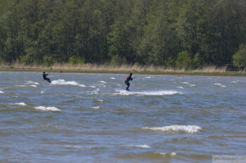 Thumbnail DSC_6966.JPG 