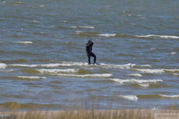 Thumbnail DSC_6986.JPG 