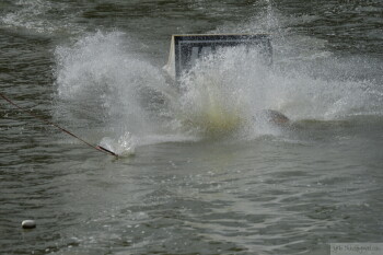 Thumbnail DSC_7233.JPG 