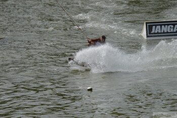 Thumbnail DSC_7254.JPG 