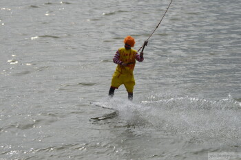 Thumbnail DSC_7264.JPG 