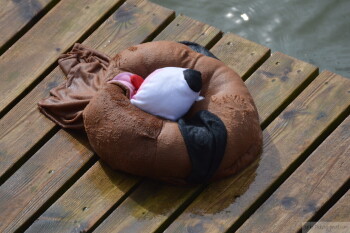 Thumbnail DSC_7265.JPG 