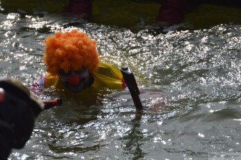 Thumbnail DSC_7273.JPG 