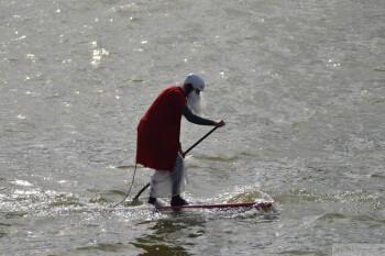 Thumbnail DSC_7435.JPG 