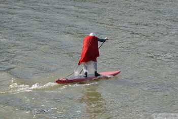 Thumbnail DSC_7436.JPG 