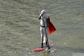 Thumbnail DSC_7437.JPG 
