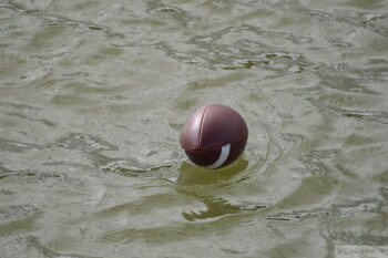 Thumbnail DSC_7449.JPG 