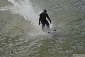 Thumbnail DSC_7474.JPG 