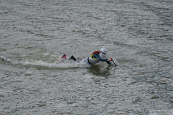 Thumbnail DSC_7503.JPG 