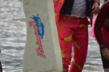 Thumbnail DSC_7667.JPG 