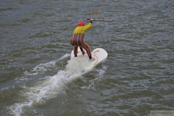 Thumbnail DSC_7736.JPG 