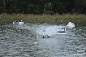 Thumbnail DSC_7808.JPG 