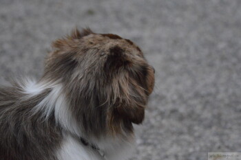 Thumbnail DSC_7836.JPG 