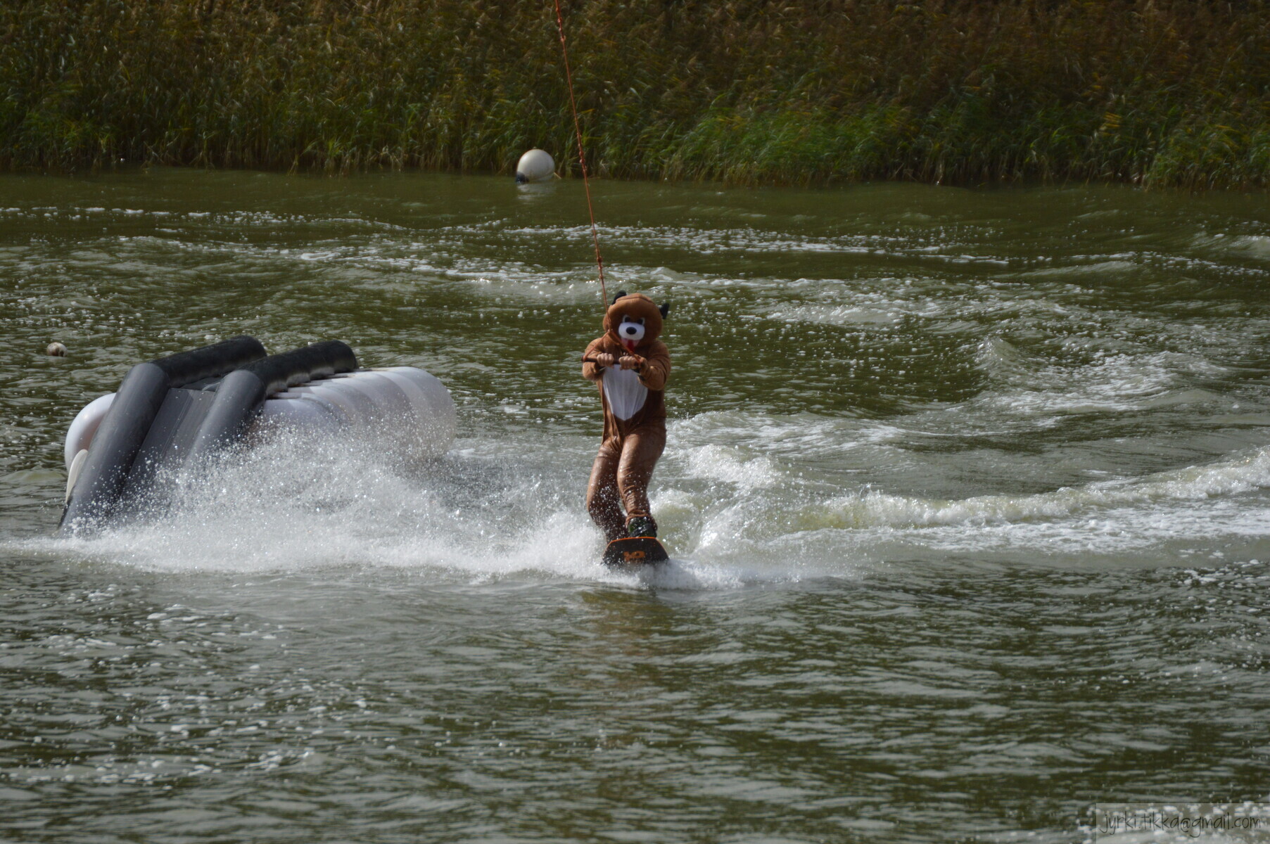 DSC_7224.JPG 