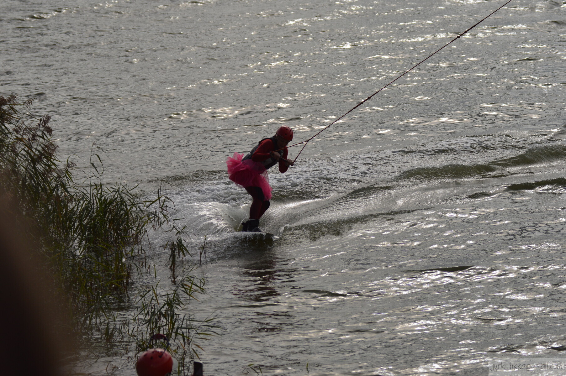DSC_7381.JPG 