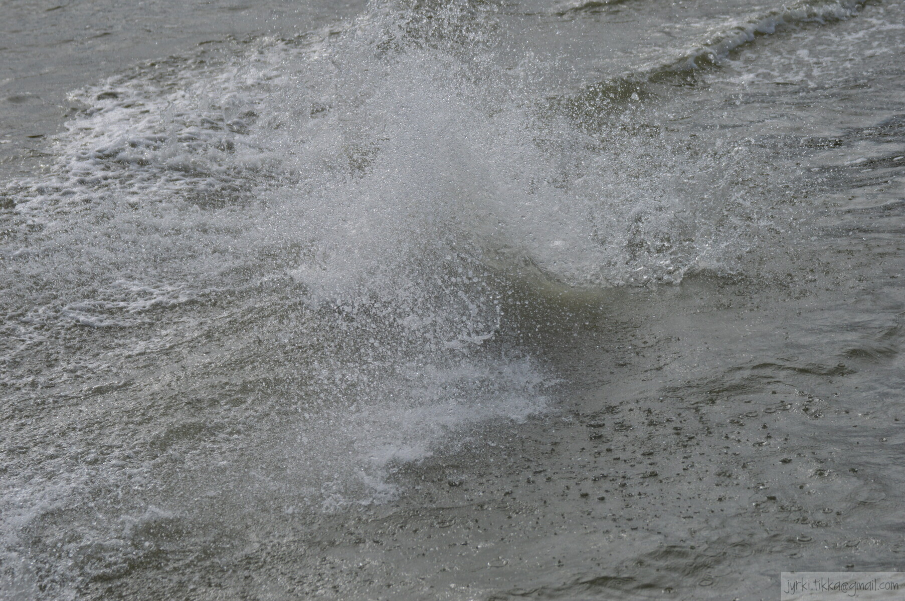 DSC_7444.JPG 