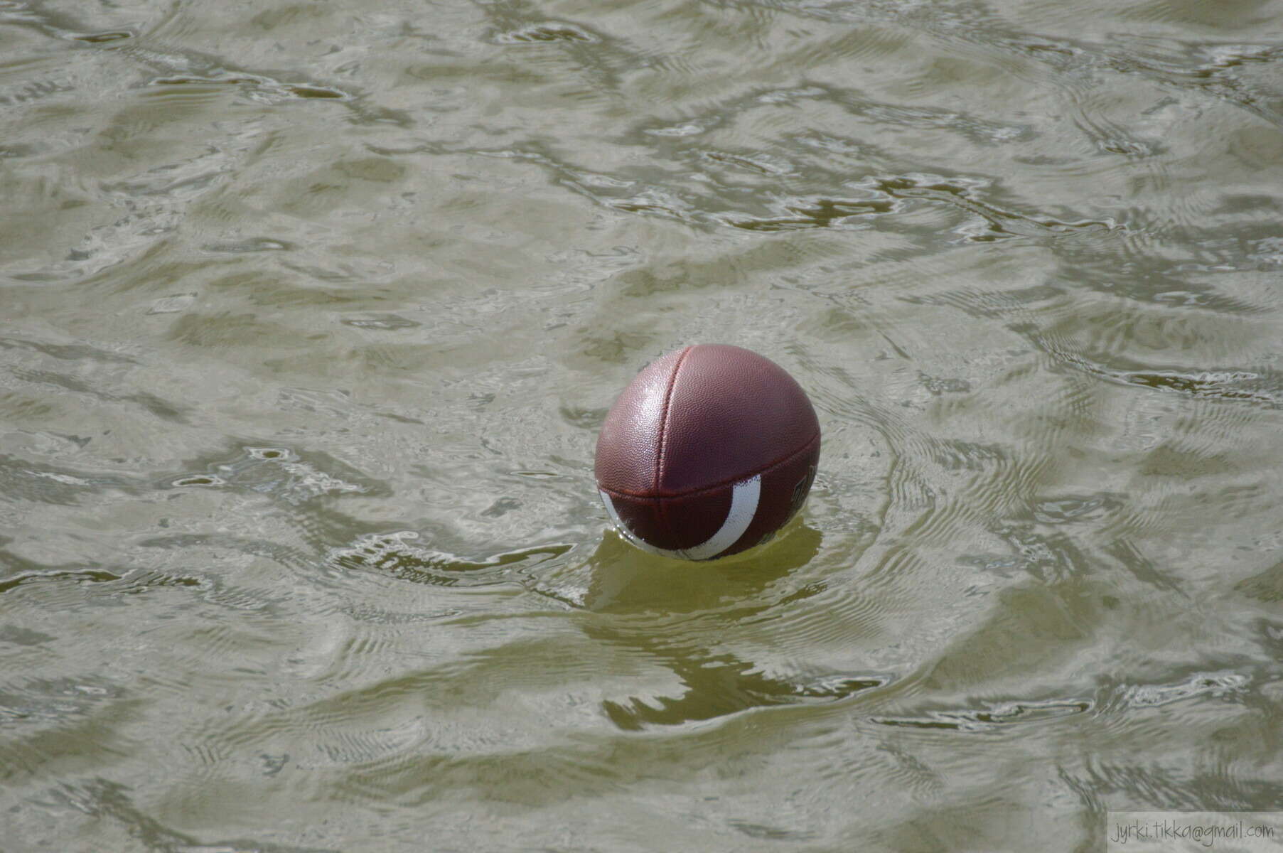 DSC_7449.JPG 