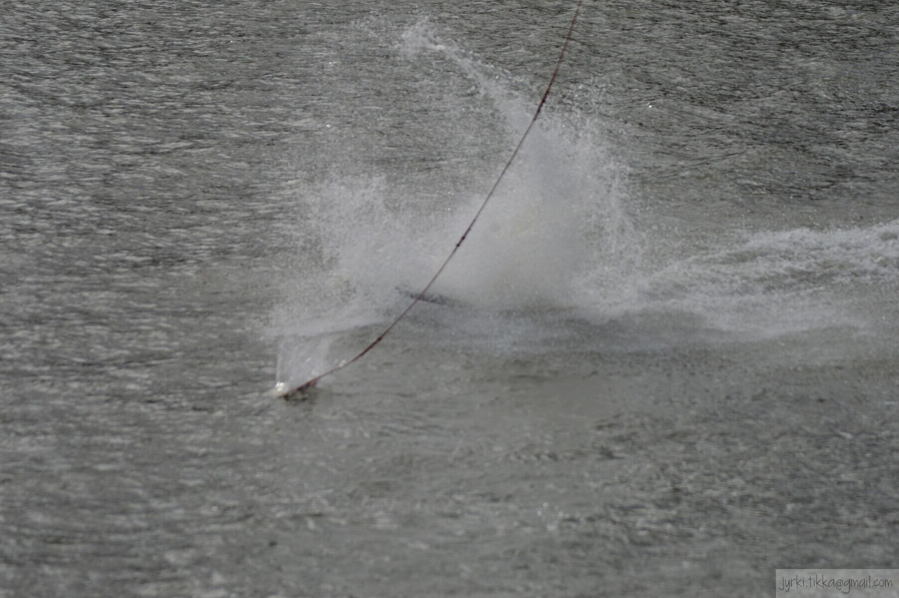 DSC_7464.JPG 
