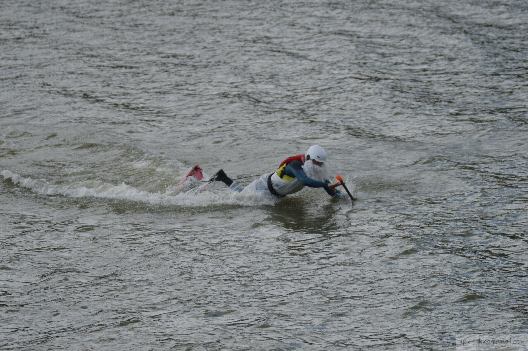 DSC_7503.JPG 